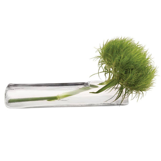 Test Tube Vase